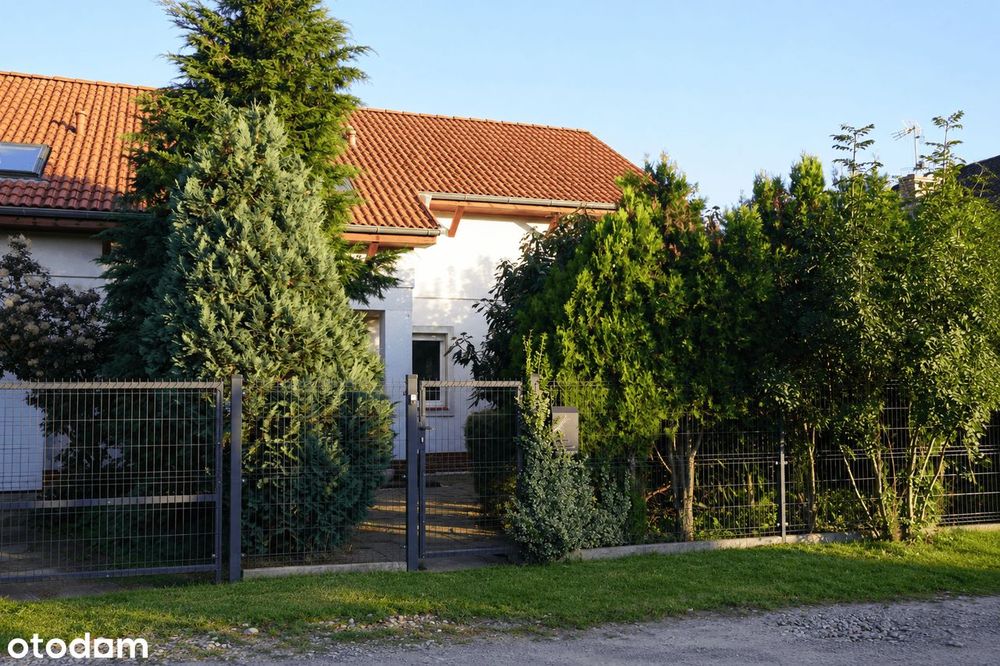 Zdjęcie 3