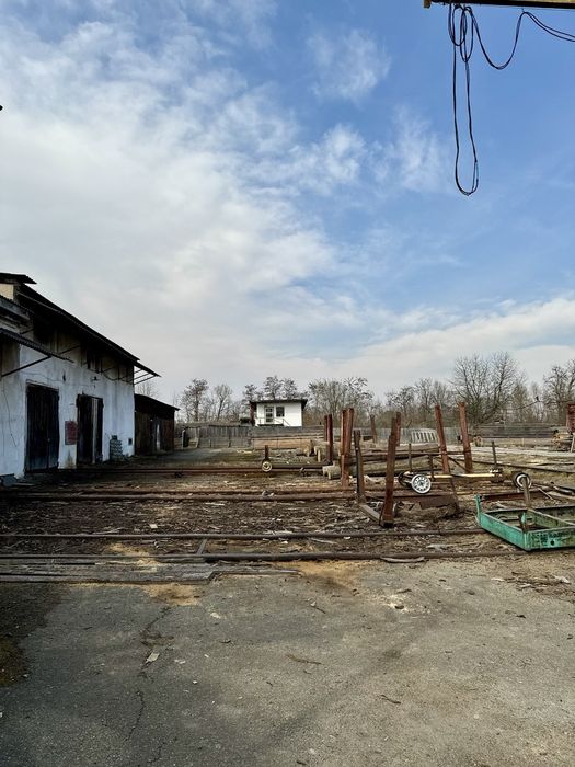 Продається деревообробне підприємство