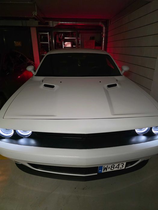 Sprzedaż dodge chllenger
