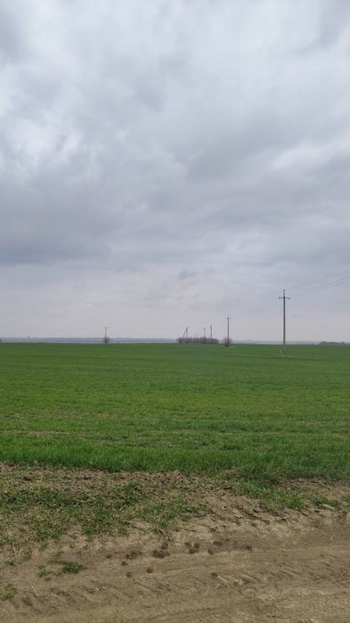 ПРОДАЖ земельної ділянки 2,5 ГА ПІД ВИРОБНИЦТВО