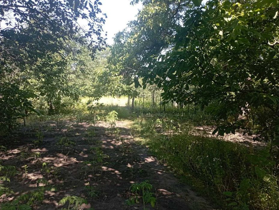 Продаж будинку з ділянкою