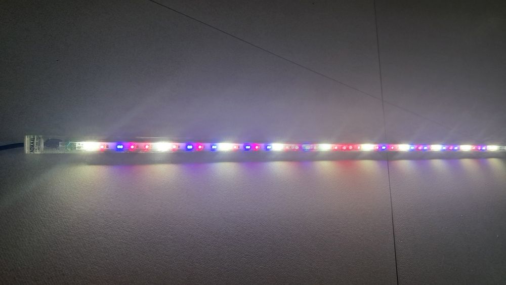 Lampa żarówka do akwarium