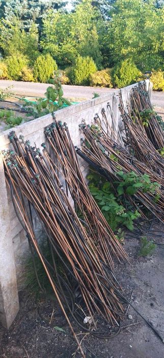 System nawadniania dropplant