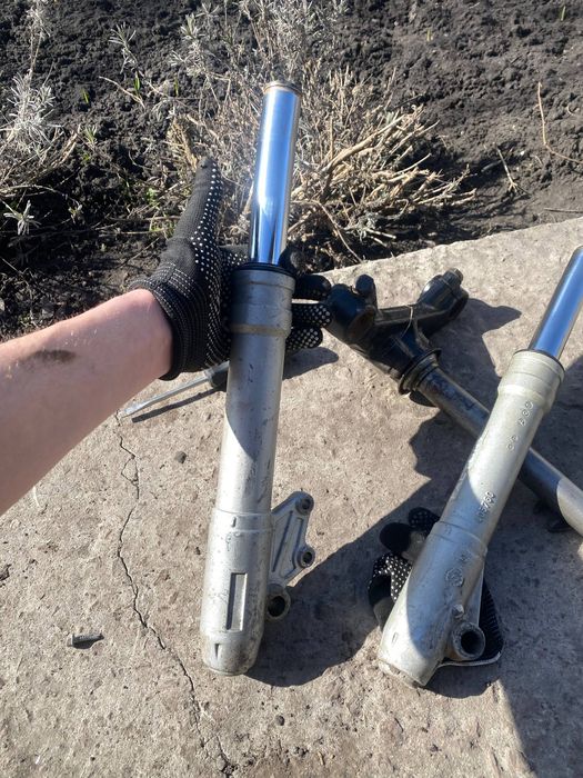 Перья пайоли aerox