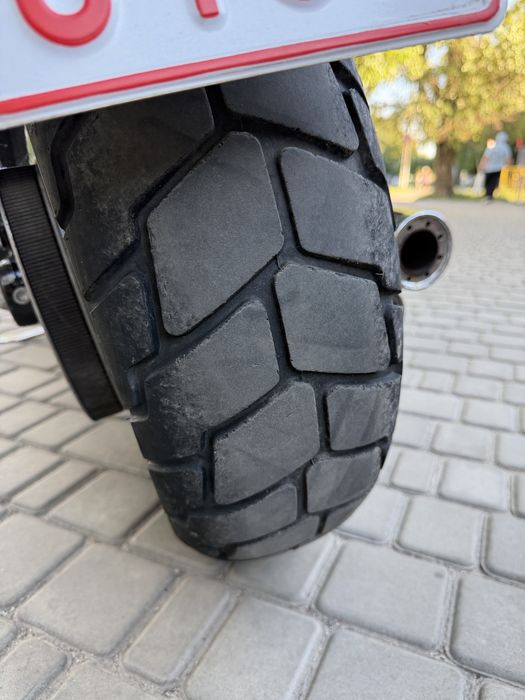 Harley davidson fat bob