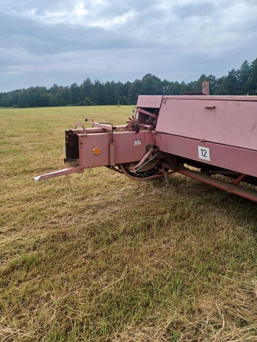 Siano Kostka w kostkach