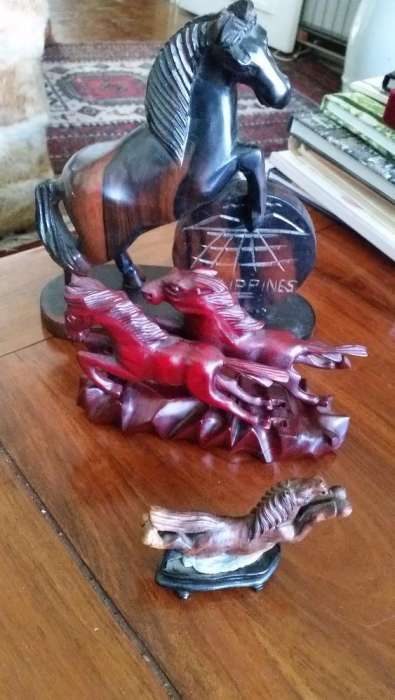 Conjunto de cavalos!