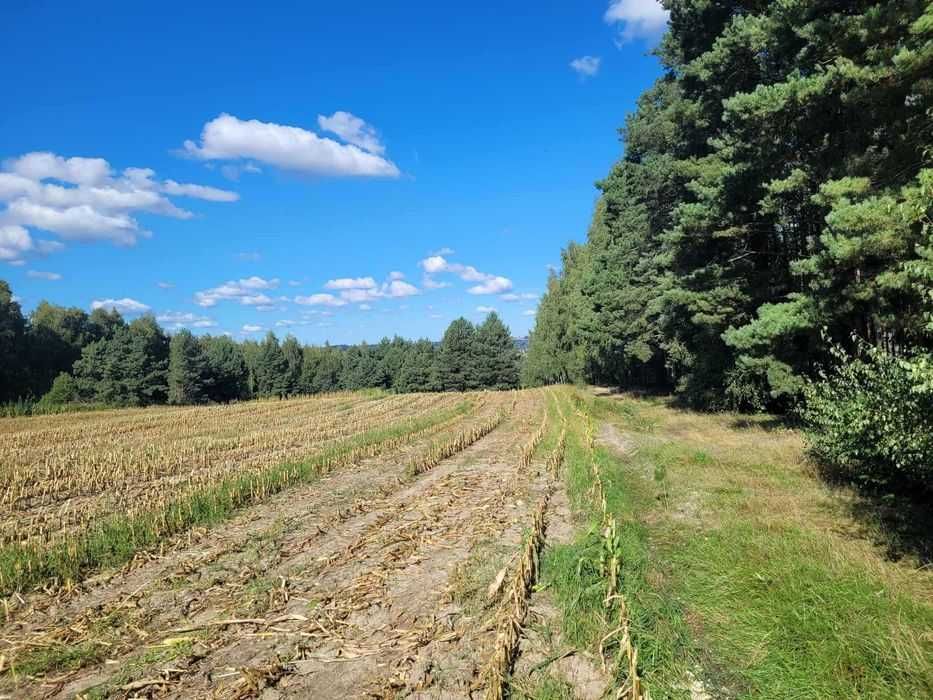 Działka budowlana w Gzinie 1030m2