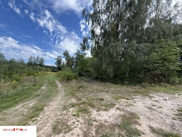 Działka, Zboiska - Widok 4