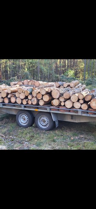 Drewno suche sosna ,brzoza