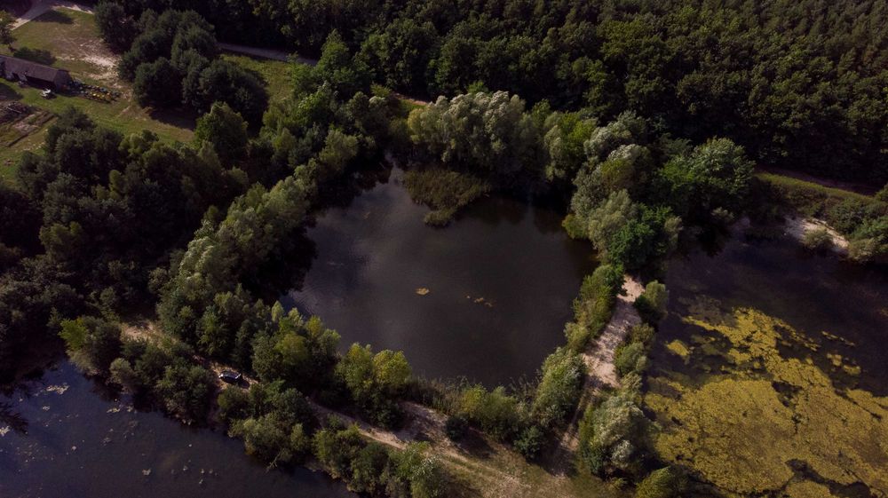 Działka 7,5ha, 6x stawy wędkarskie, przy rezerwacie Natura 2000 - Widok 4