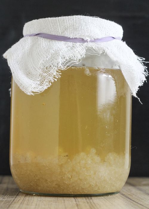 Kefir de água (excelente probiótico)