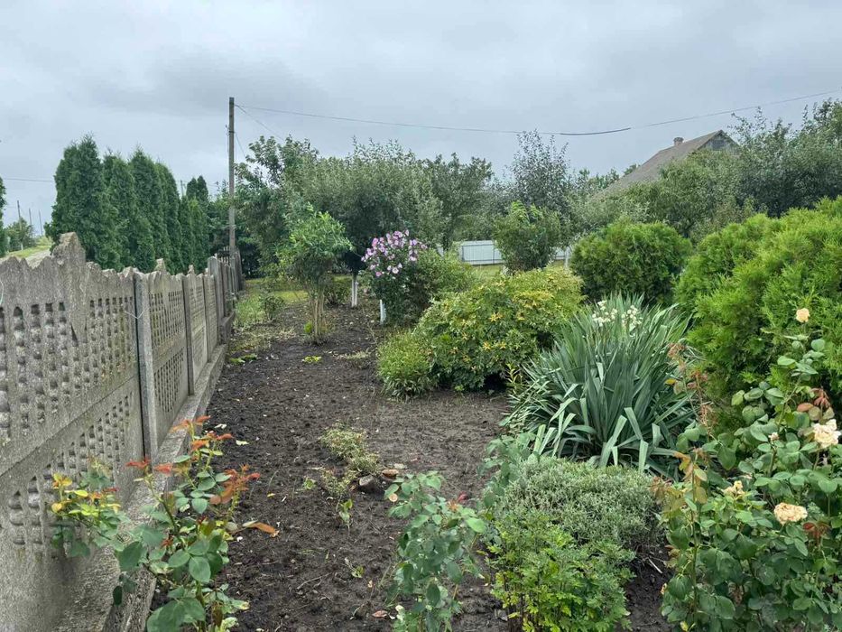 продам будинок с.Щербинці.