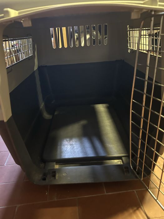 Tranportadora de animais