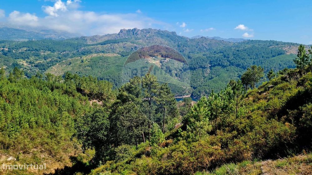 Terreno  para venda — Salamonde, Braga