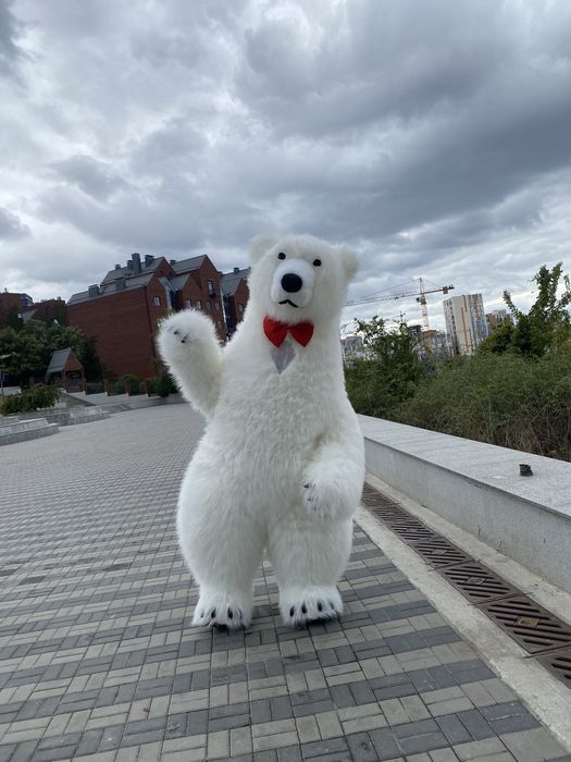 Поздравления от Белого Медведя. Привітання. Ведмедик. Білий ведмедик.
