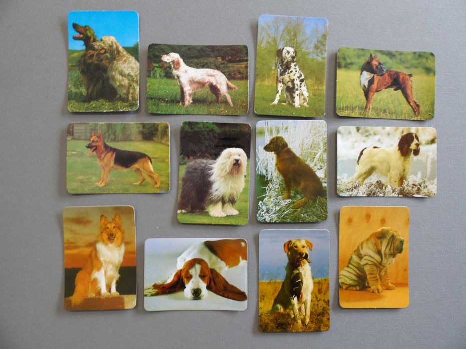 Calendários Cães