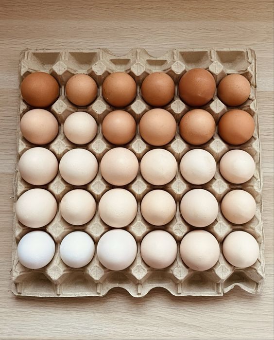 Świeże jaja wiejskie