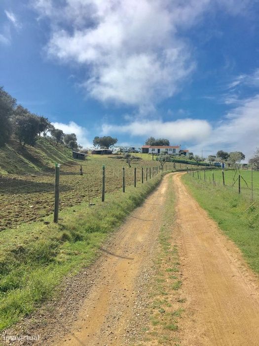 Monte em Sousel para remodelação