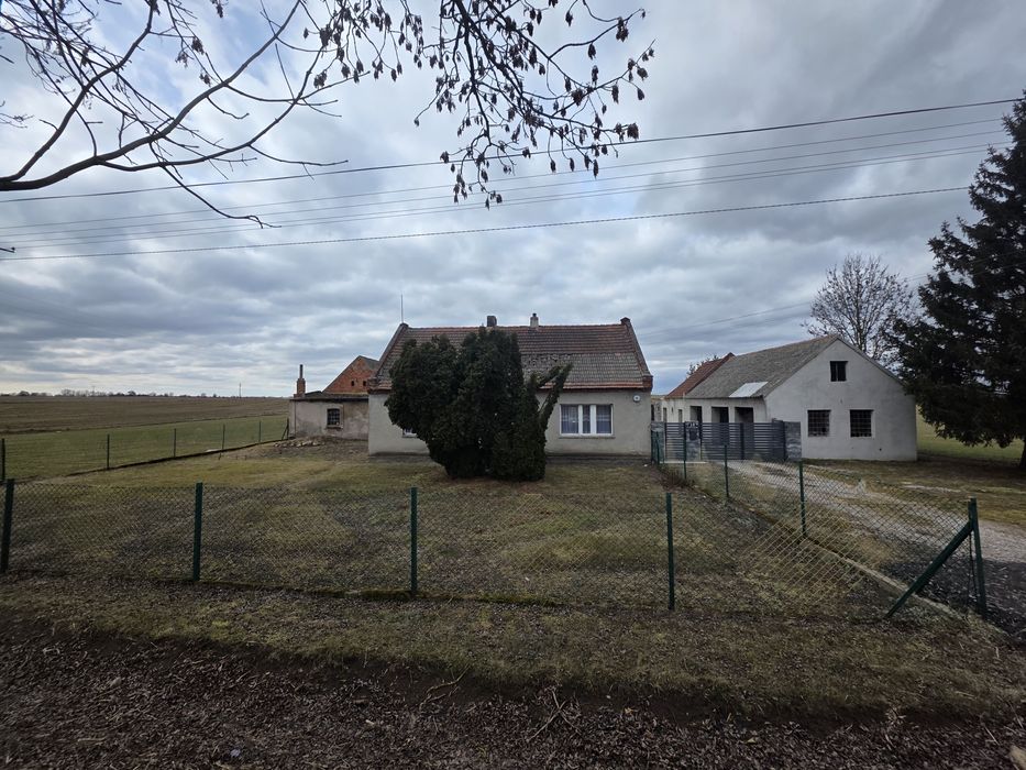 Dom do wynajęcia w okolicy Mogilna