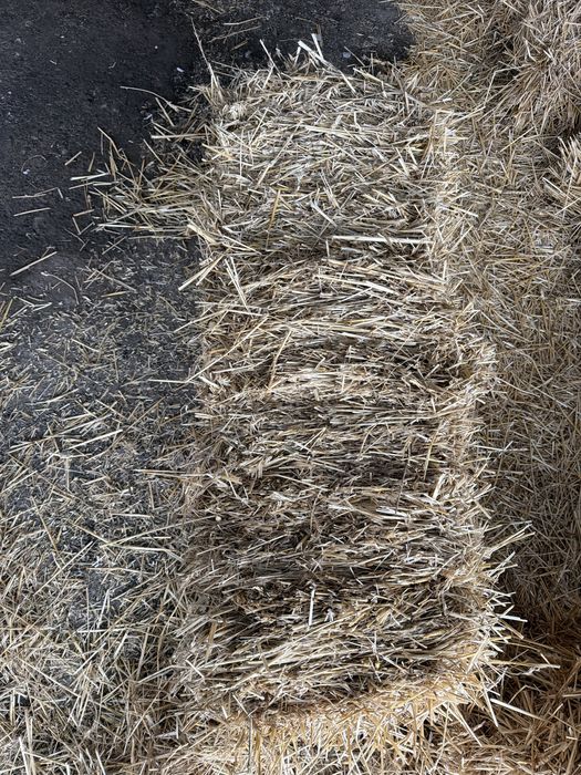 Продам солому в тюках