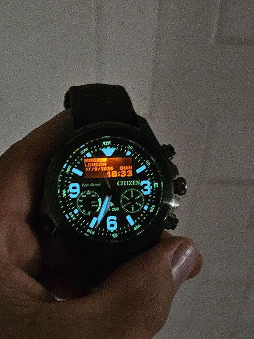 Citizen Promaster Land