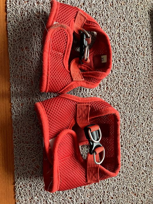 szelki dla małego psa, ODDAM ZA DARMO