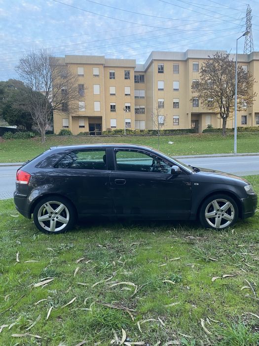 Audi A3 8P 2.0 TDI