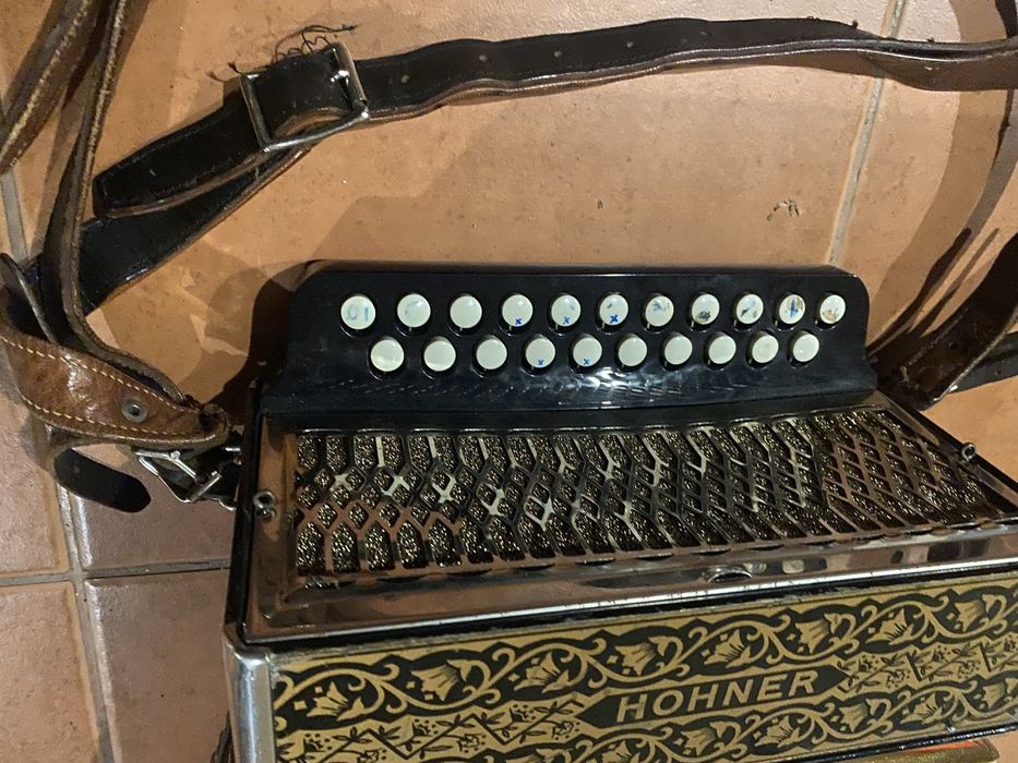 Concertina honher Viseu • OLX Portugal