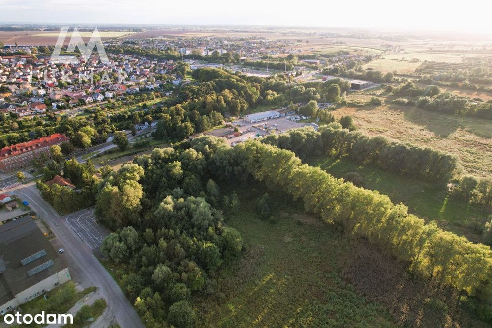 Zdjęcie 5