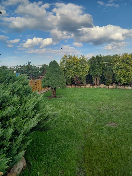 Sprzedam działkę ROD