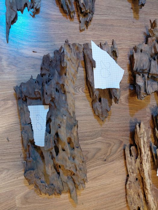 Korzenie do akwarium dragon wood