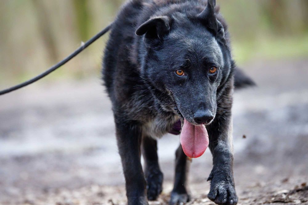 Malina-cud dziewczyna [FILM]