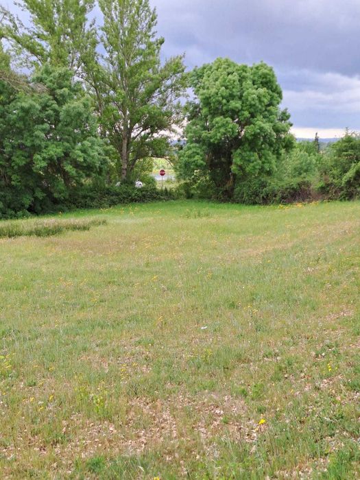 Terreno para venda em Baçal com 1,5 hectares - Bragança