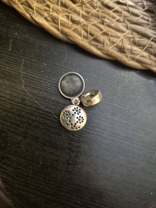 Srebra zawieszka pandora