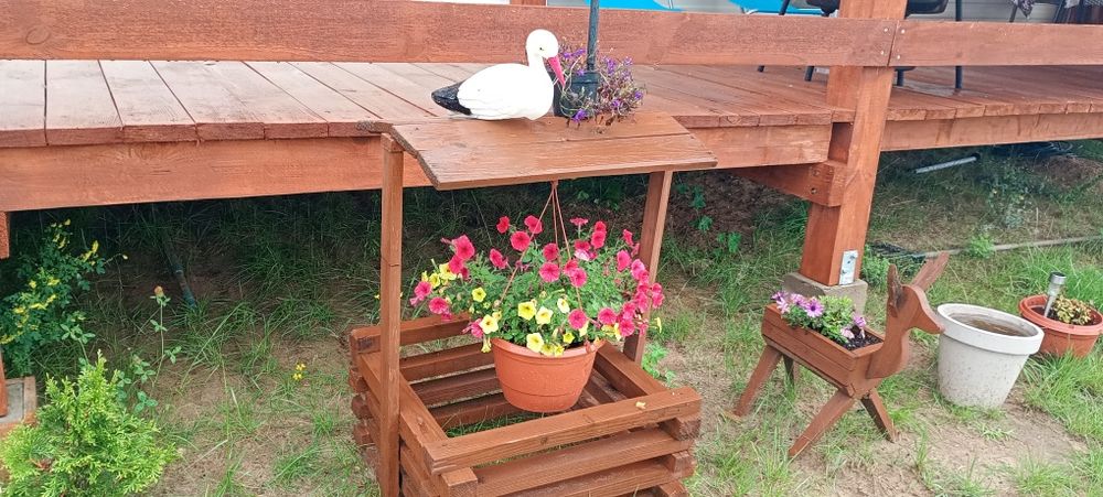 Domek Zacisze otulone słońcem