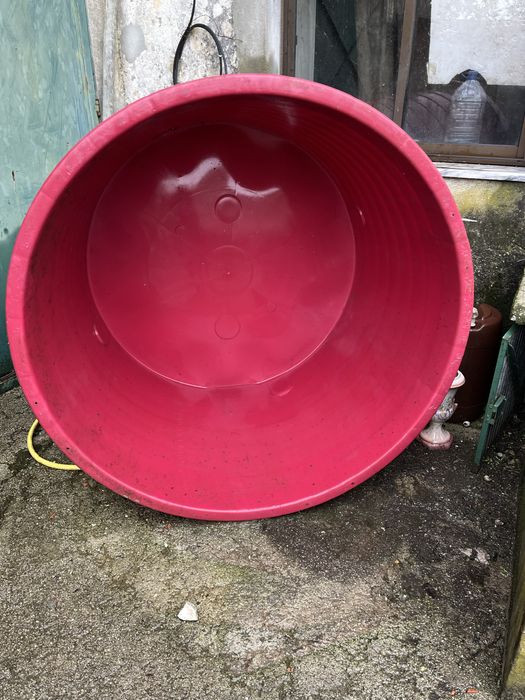 Dorna grande para vindima/agricultura