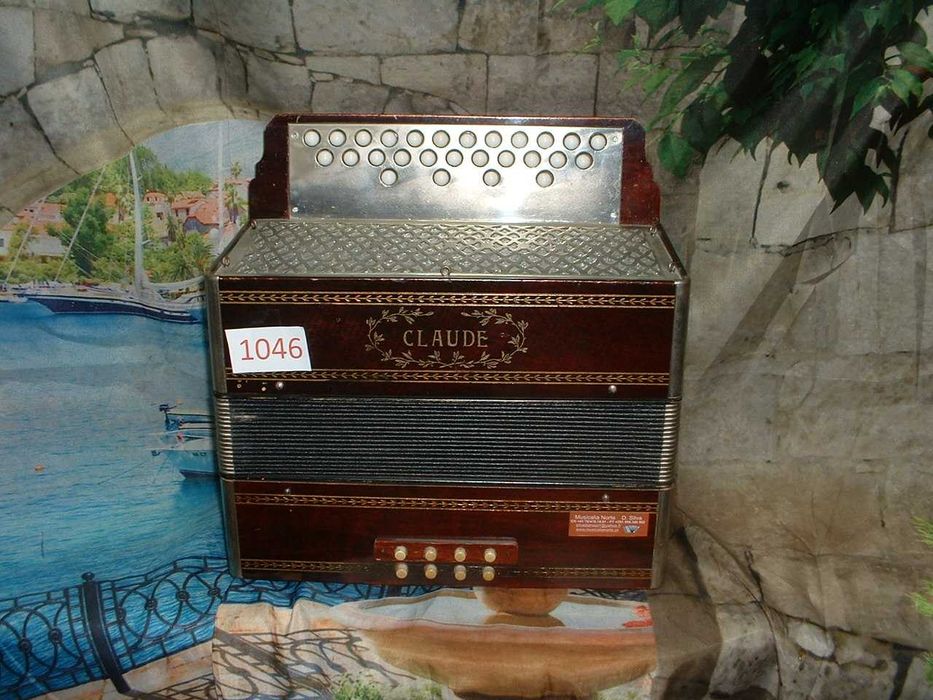 Promoção de Acordeões de concertinas