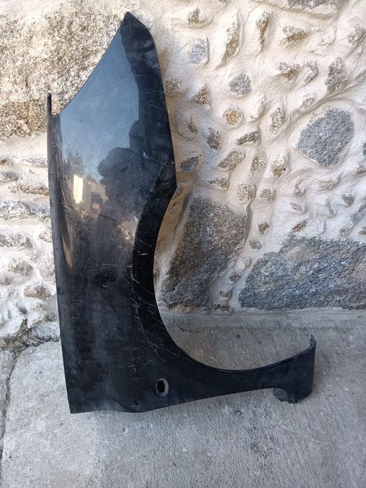 Guardalamas Peugeot 307 guarda lamas 2003