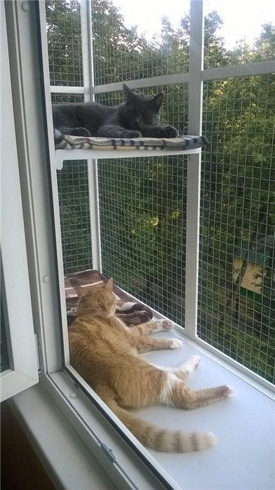 Балкончик для котів на 3 стулки (на все вікно)