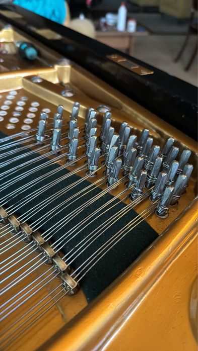 Piano 1/4 cauda