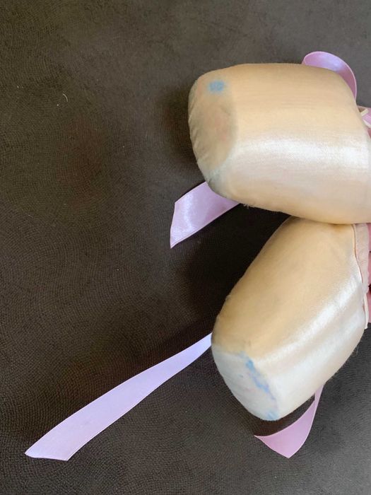 Пуанты  SANSHA M4  Модель 101 по стельке 17см.