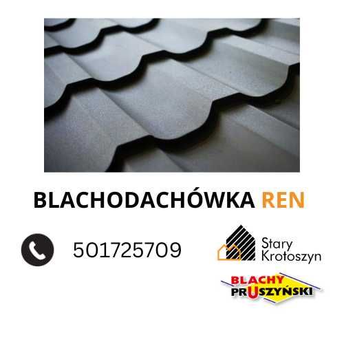 Blachodachówka REN "BLACHY PRUSZYŃSKI" I gat. kolor