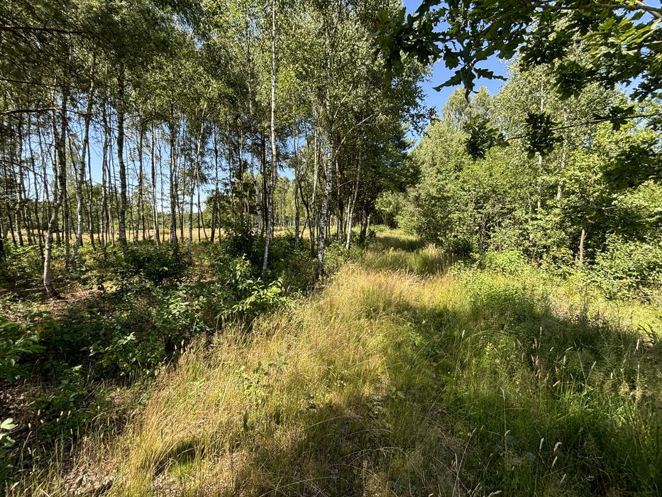 Dom Jednorodzinny spokojna okolica otoczona Lasem 95 M2