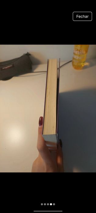 Livro: Diário de uma totó (livro 2)