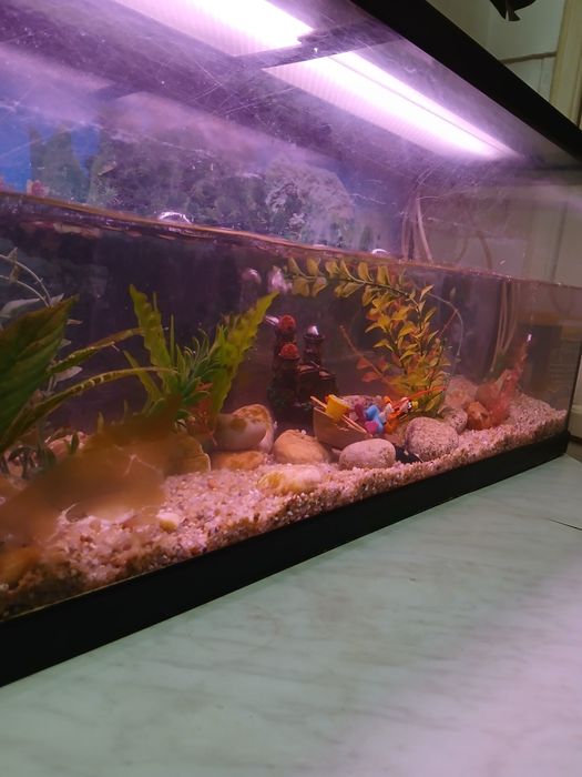 Aquário de 1 m usado em bom estado