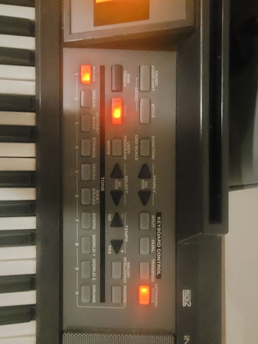 Teclado Roland E-09 Interactive Arranger