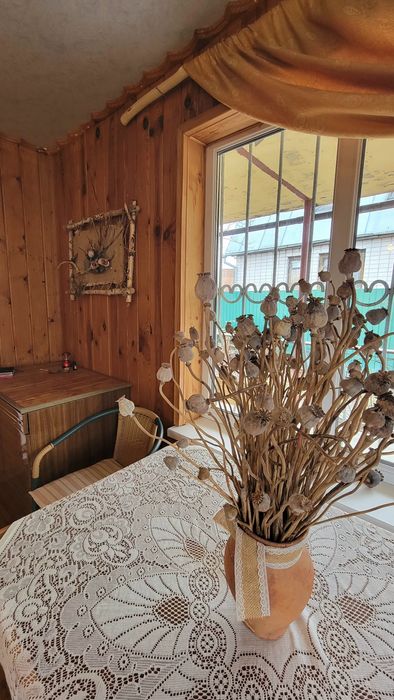 Дача в живописному місці