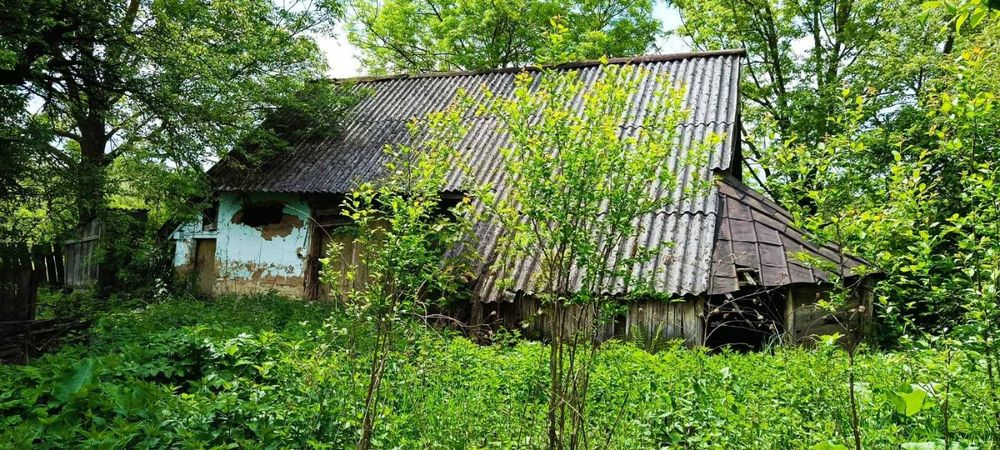Продається будинок у с. Гаврилівка з ділянкою 25 соток