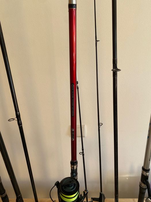Cana surfcasting com carretos